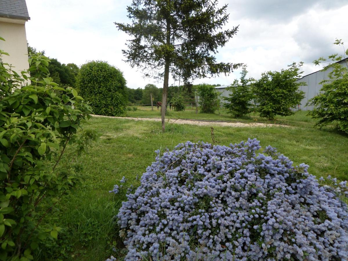 Bienvenue A L'Andruere Bed & Breakfast Cheille Luaran gambar