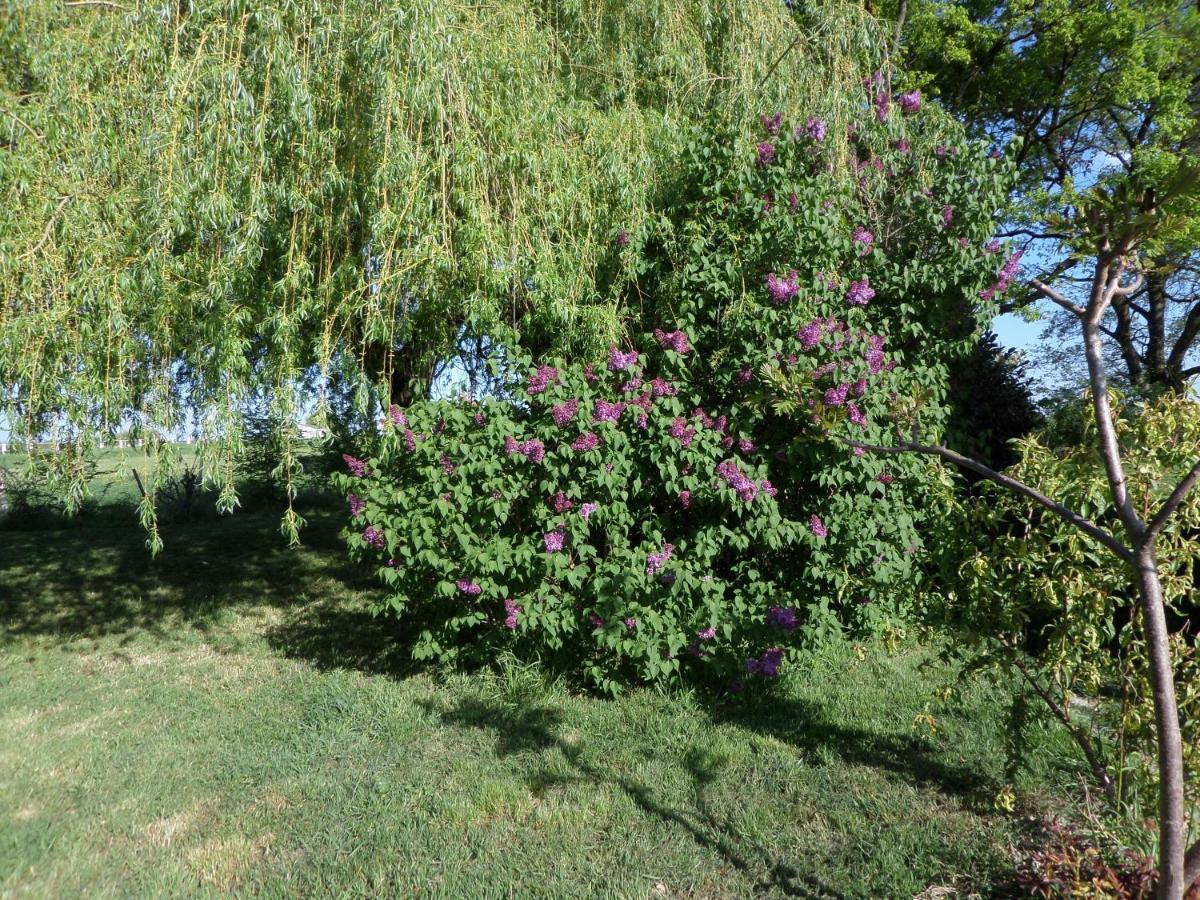 Bienvenue A L'Andruere Bed & Breakfast Cheille Luaran gambar